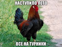 НАСТУПИЛО ЛЕТО ВСЕ НА ТУРНИКИ