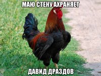 Маю стену ахраняет Давид Драздов