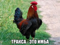  тракса - это имба