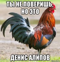 ты не поверишь, но это денис алипов