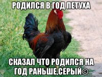 родился в год петуха сказал что родился на год раньше,серый©