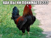 как вы ни понимаете ??? 