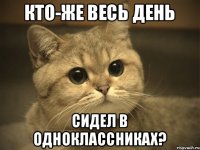 Кто-же весь день сидел в одноклассниках?