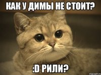 Как у Димы не стоит? :D РИЛИ?