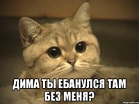  Дима ты ебанулся там без меня?