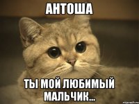 АНТОША ТЫ МОЙ ЛЮБИМЫЙ МАЛЬЧИК...