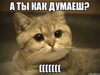 а ты как думаеш? (((((((