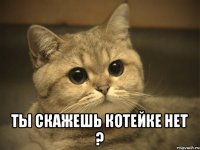  Ты скажешь котейке нет ?