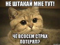 не штакай мне тут! чё всосем страх потерял?