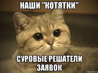 наши "котятки" суровые решатели заявок