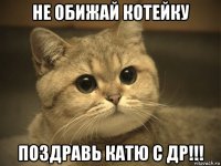 Не обижай котейку поздравь катю с др!!!