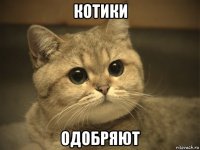 котики одобряют