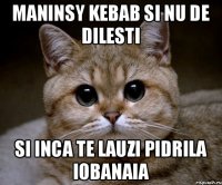 Maninsy kebab si nu de dilesti Si inca te lauzi pidrila iobanaia