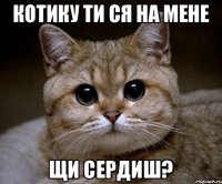 котику ти ся на мене щи сердиш?