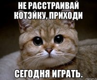 Не расстраивай котэйку, приходи сегодня играть.