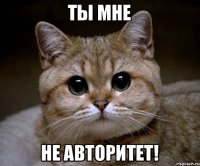 Ты мне не авторитет!