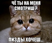 Чё ты на меня смотриш ? Пизды хочеш...