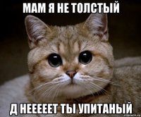 МАМ Я НЕ ТОЛСТЫЙ Д НЕЕЕЕЕТ ТЫ УПИТАНЫЙ