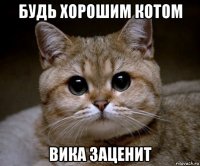 будь хорошим котом Вика заценит