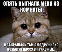 опять выгнала меня из комнаты и закрылась там с подружкой? пожалуй нассу в прихожей...