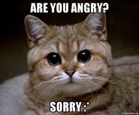 are you angry? sorry :*