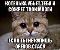 котенька убьет тебя и сожрет твои мозги если ты не купишь орехов стасу