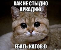 как не стыдно аркадию ебать котов:d