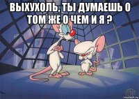 выхухоль, ты думаешь о том же о чем и я ? 