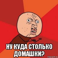  Ну куда столько домашки?