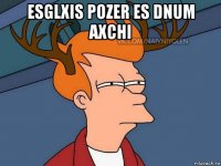 esglxis pozer es dnum axchi 