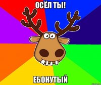 Осёл ты! Ебонутый