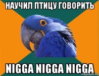 Научил птицу говорить Nigga nigga nigga