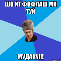 шо ит фофлаш ми туй мудаку!!!