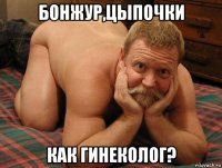 бонжур,цыпочки как гинеколог?