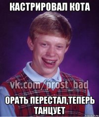 кастрировал кота орать перестал,теперь танцует