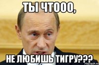 ТЫ ЧТООО, НЕ ЛЮБИШЬ ТИГРУ???