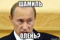 шамиль олень?