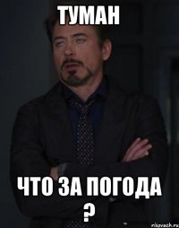 Туман Что за погода ?