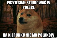 przyjechał studiować w polsce na kierunku nie ma polaków