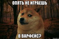 опять не играешь в варфейс?