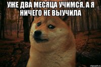 уже два месяца учимся, а я ничего не выучила 