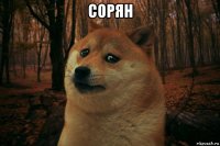 сорян 