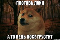 поставь лайк а то ведь doge грустит