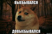 выебывался довыебывался