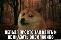  нельзя просто так взять и не сказать вне спасибо