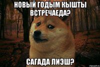 новый годым кышты встречаеда? сагада лиэш?