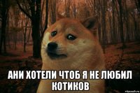  ани хотели чтоб я не любил котиков