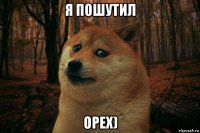 я пошутил орех)