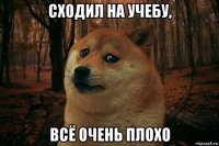 сходил на учебу, всё очень плохо