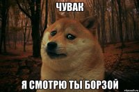 чувак я смотрю ты борзой